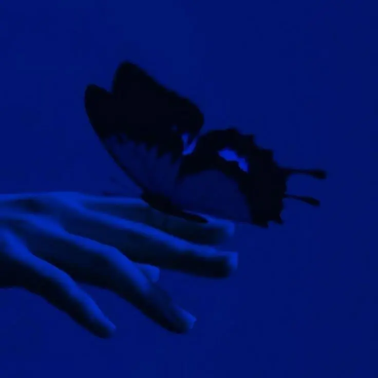 O2..의 너죽이는생각.
