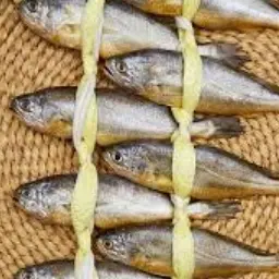 Profile image of 굴비