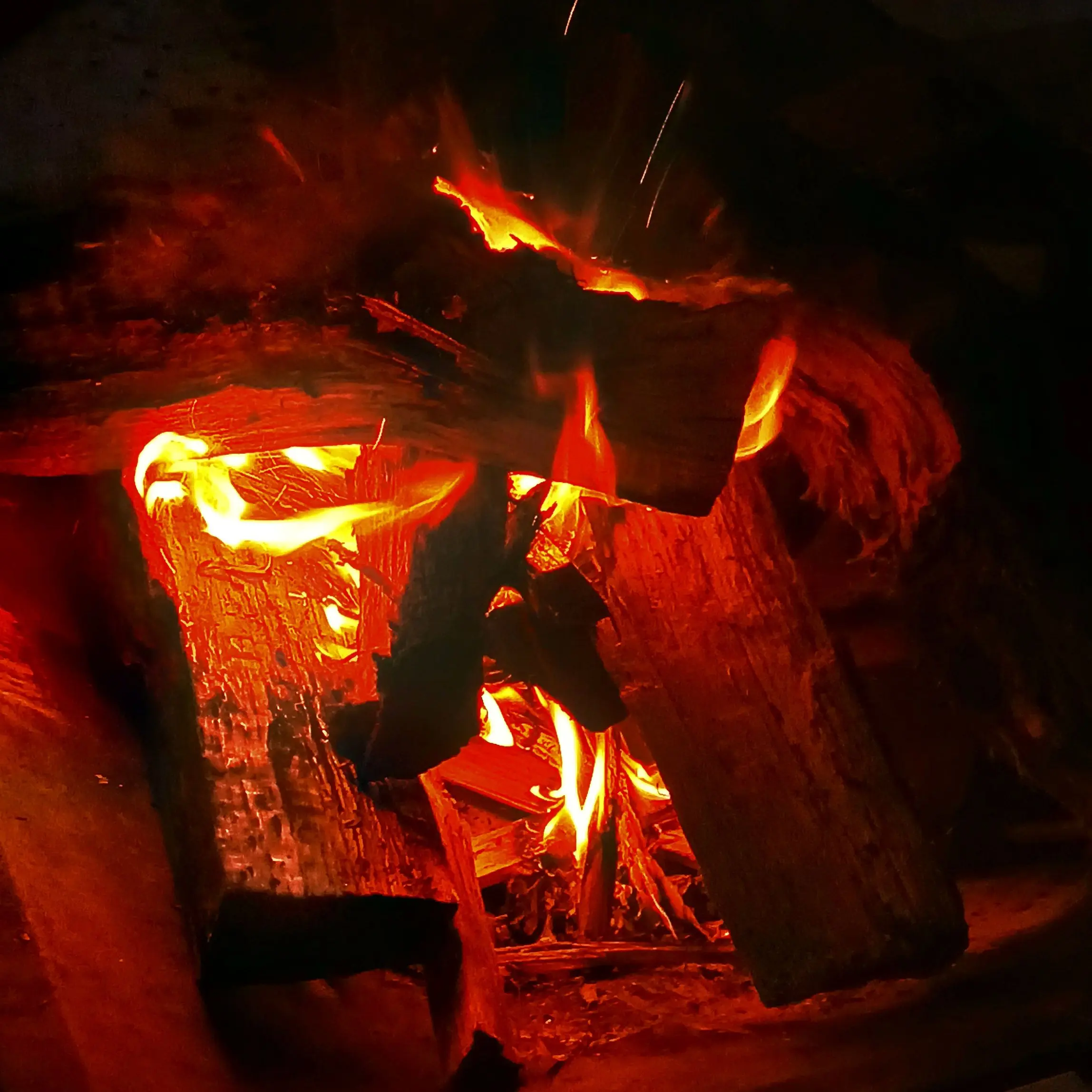 SureAge6699의 Camping trip