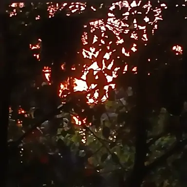 Profile image of Alissa