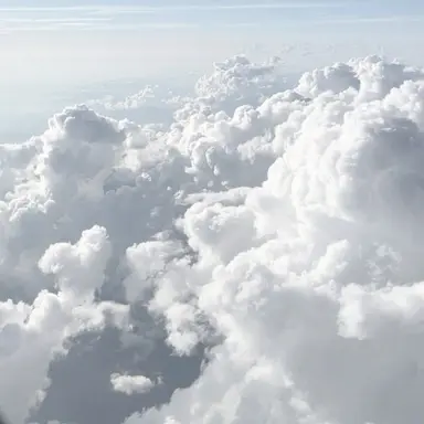 Profile image of Skyler