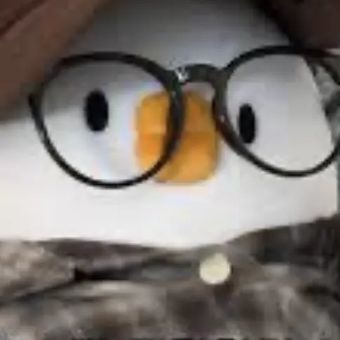 SolemnFlax6119의 Brawl Stars Group Chat