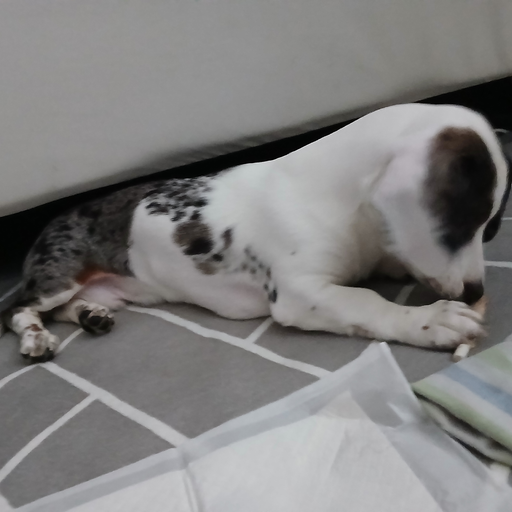 김루아 대표 이미지