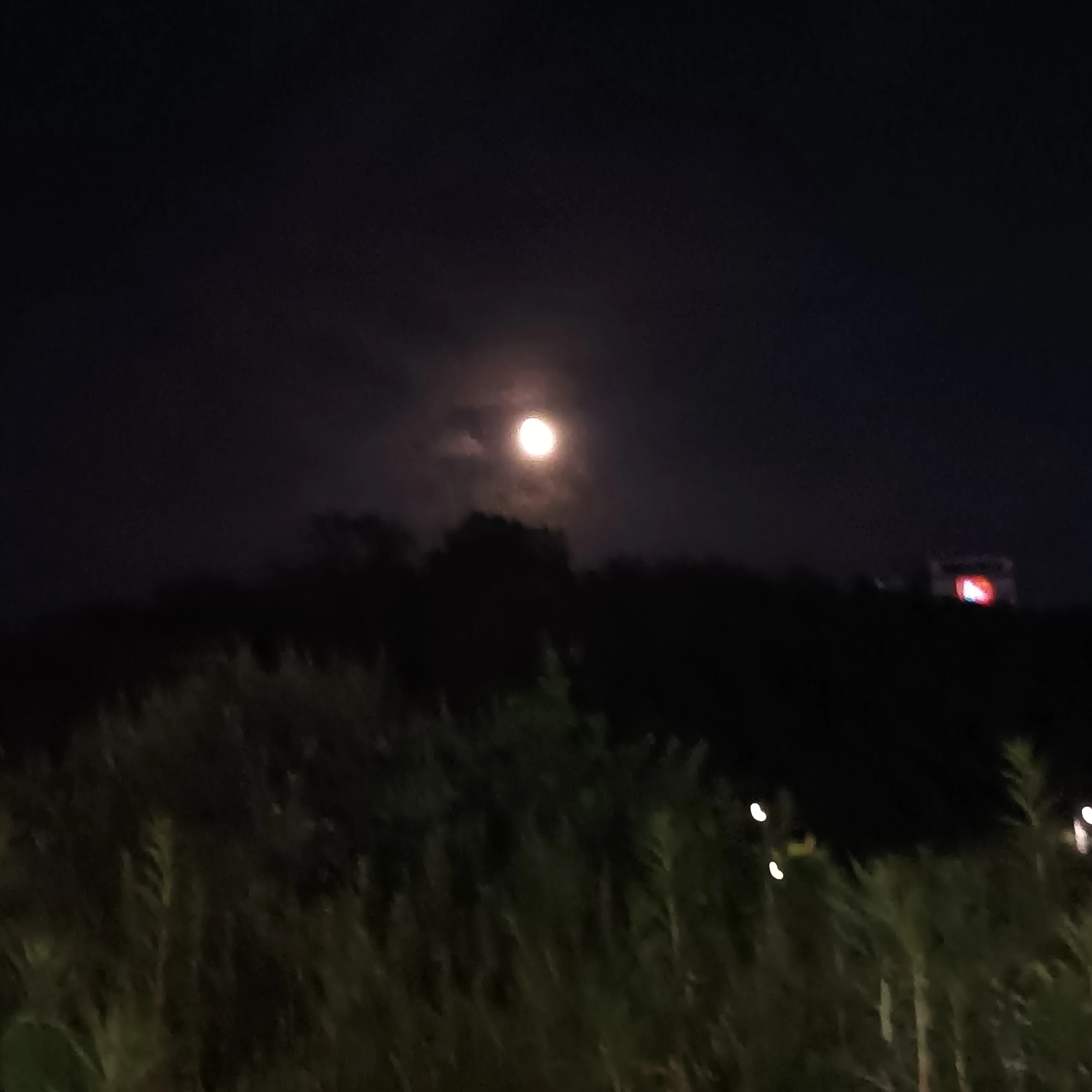 송연비
