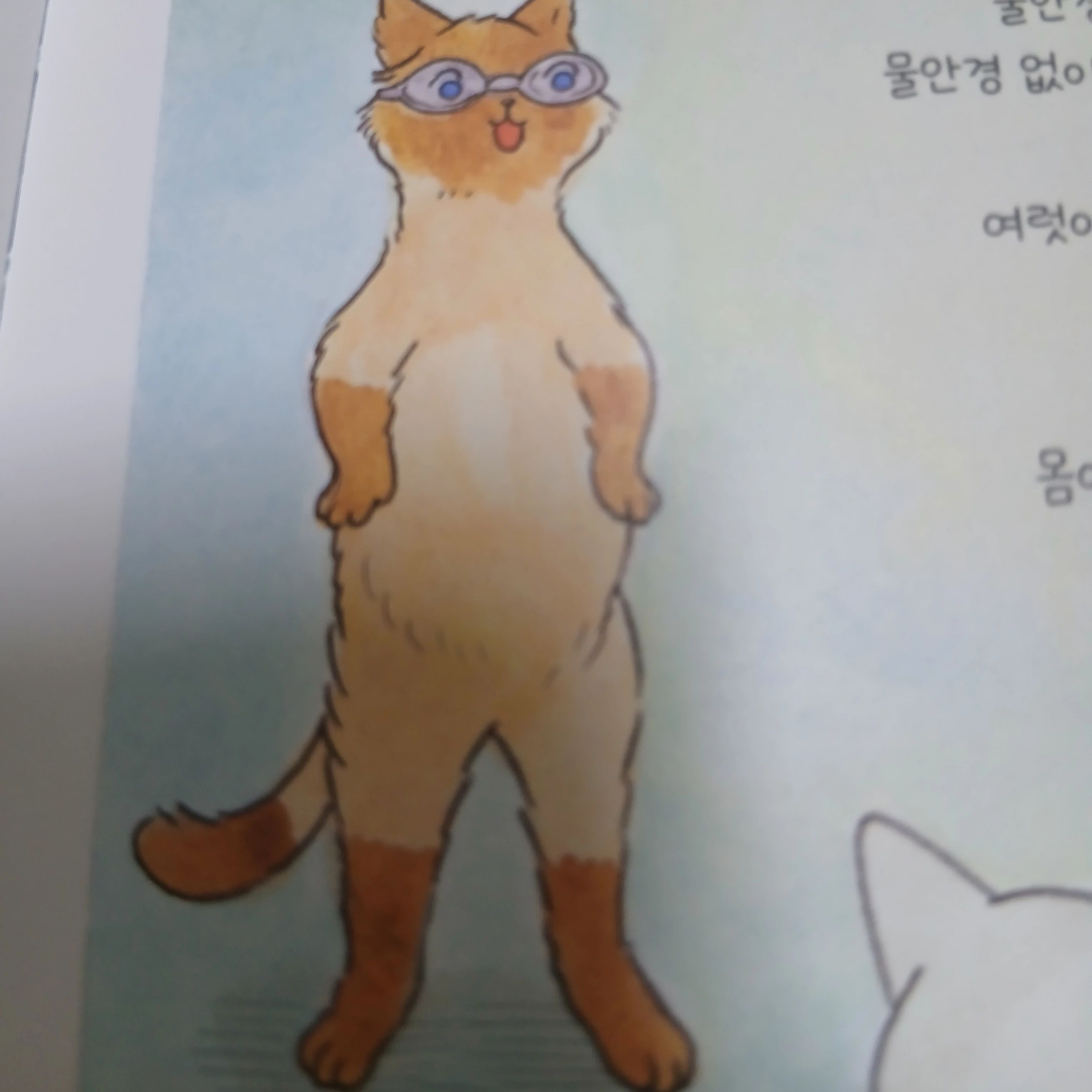 하오 코치