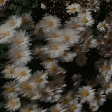 Profile image of 정형준