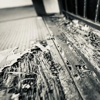 Profile image of 八左ヱ門