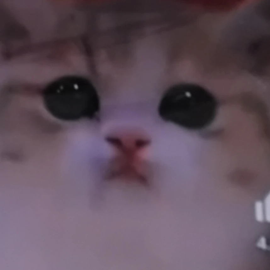 스태프1