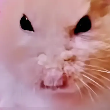 Profile image of 해설