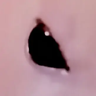 Profile image of ㅇ