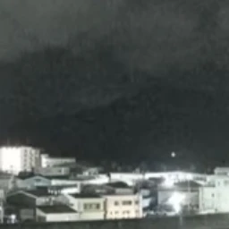 님 친구1