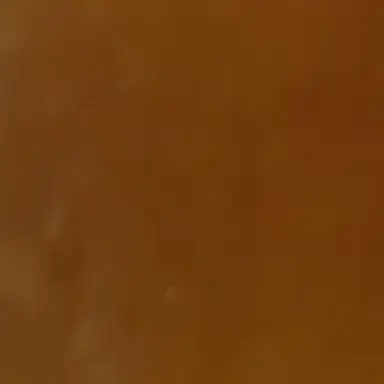 Profile image of 덕개