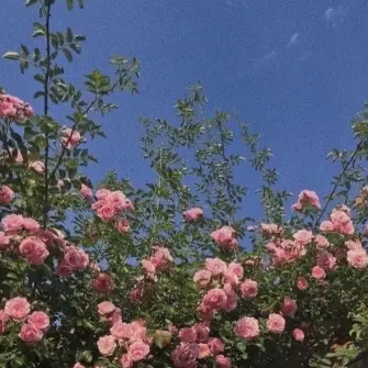 Profile image of 덕개