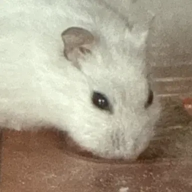 Profile image of ㅎㄷㅁ