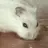 ㅎㄷㅁ