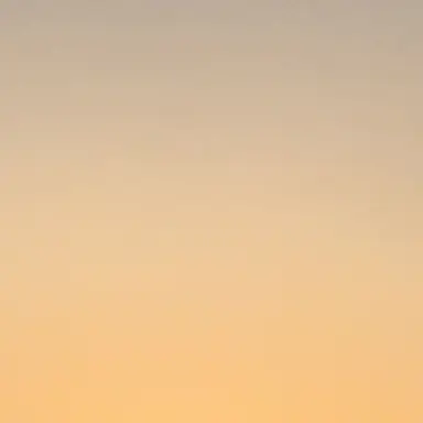 Profile image of 朽葉