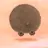 クマ