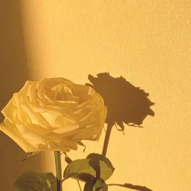 Profile image of 김각별