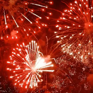 Profile image of 서라더