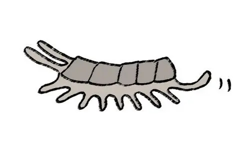 Profile image of ハチ
