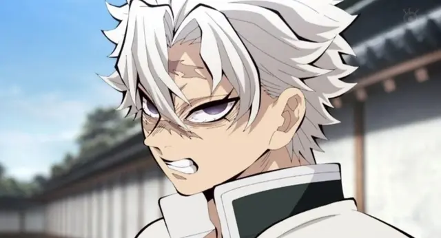 Profile image of Sanemi Shinazugawa