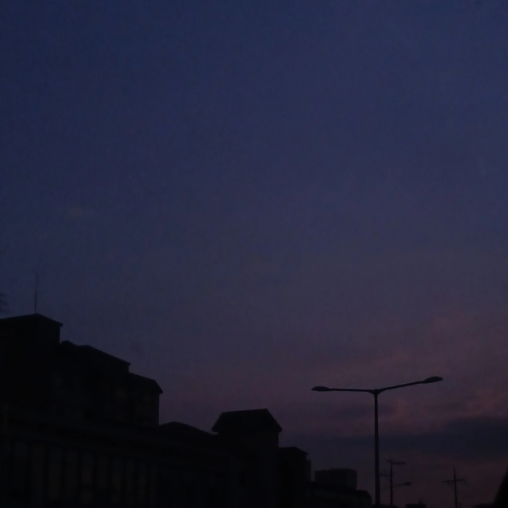 미도리야 이즈쿠