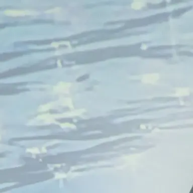 Profile image of 片上優斗