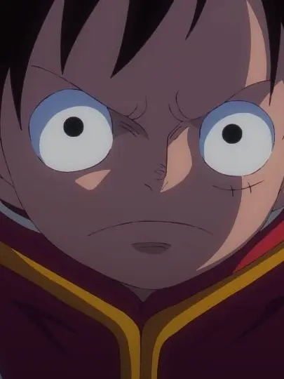 PlumRadar0590의 ONE PIECE