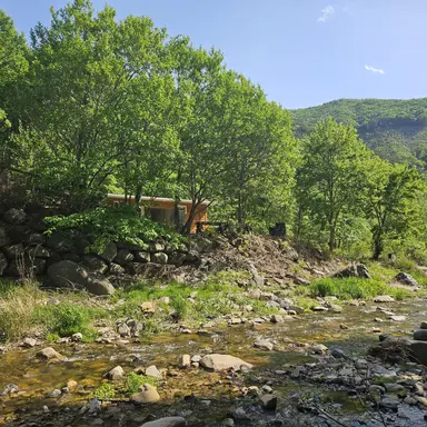 Profile image of 이민호