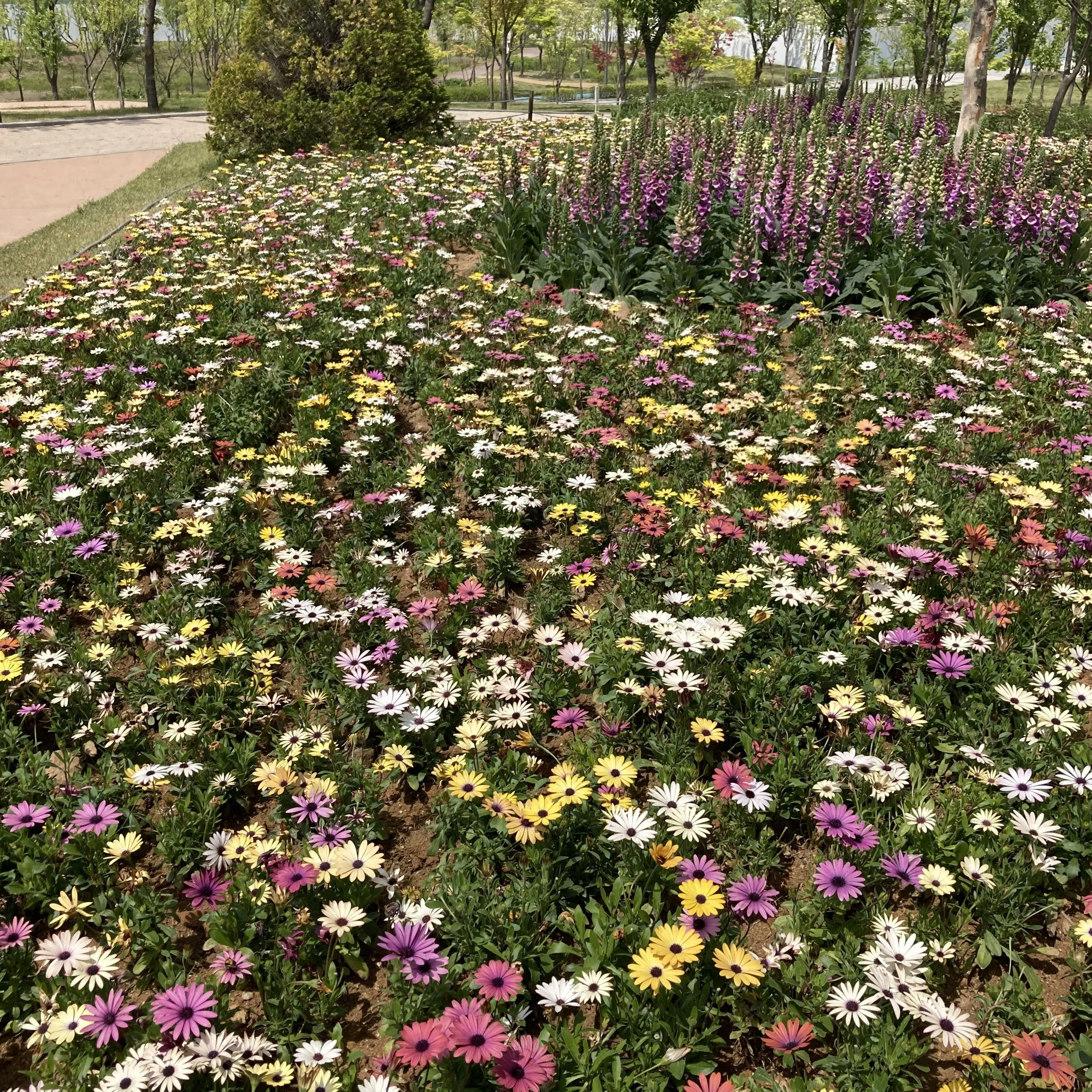 SheerBeach0521의 수인학교
