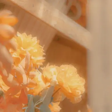 Profile image of 덕개