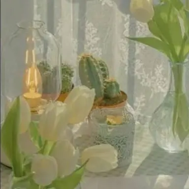 Profile image of 공경장