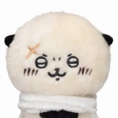 somzy의 ㅅㅎ