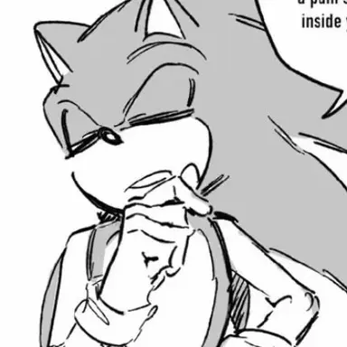 Profile image of Sonic