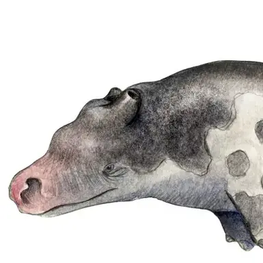 Profile image of 나우트벨리