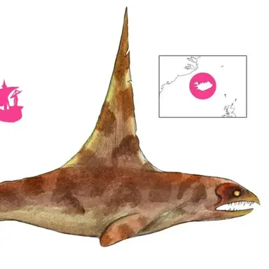 Profile image of 스베르드발루르