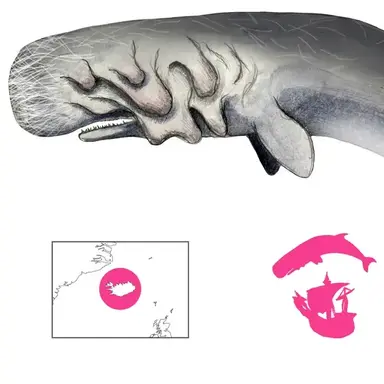 Profile image of 스퇴쿨