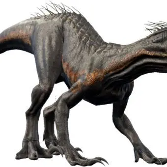 Profile image of korko