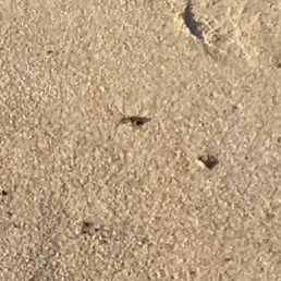 Profile image of 김여우