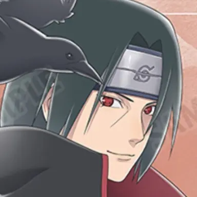 Profile image of イタチ