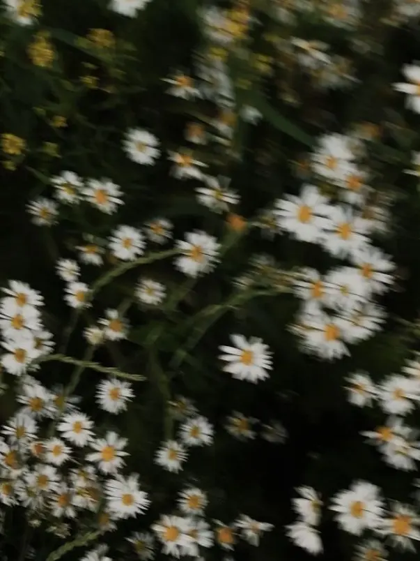 HSRD-Heptagram의 모든게 제자리로 이제서야 돌아왔는데,