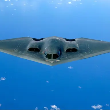 Profile image of 비투