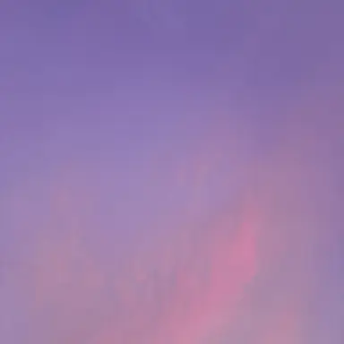 Profile image of 그대가 원하는 세상