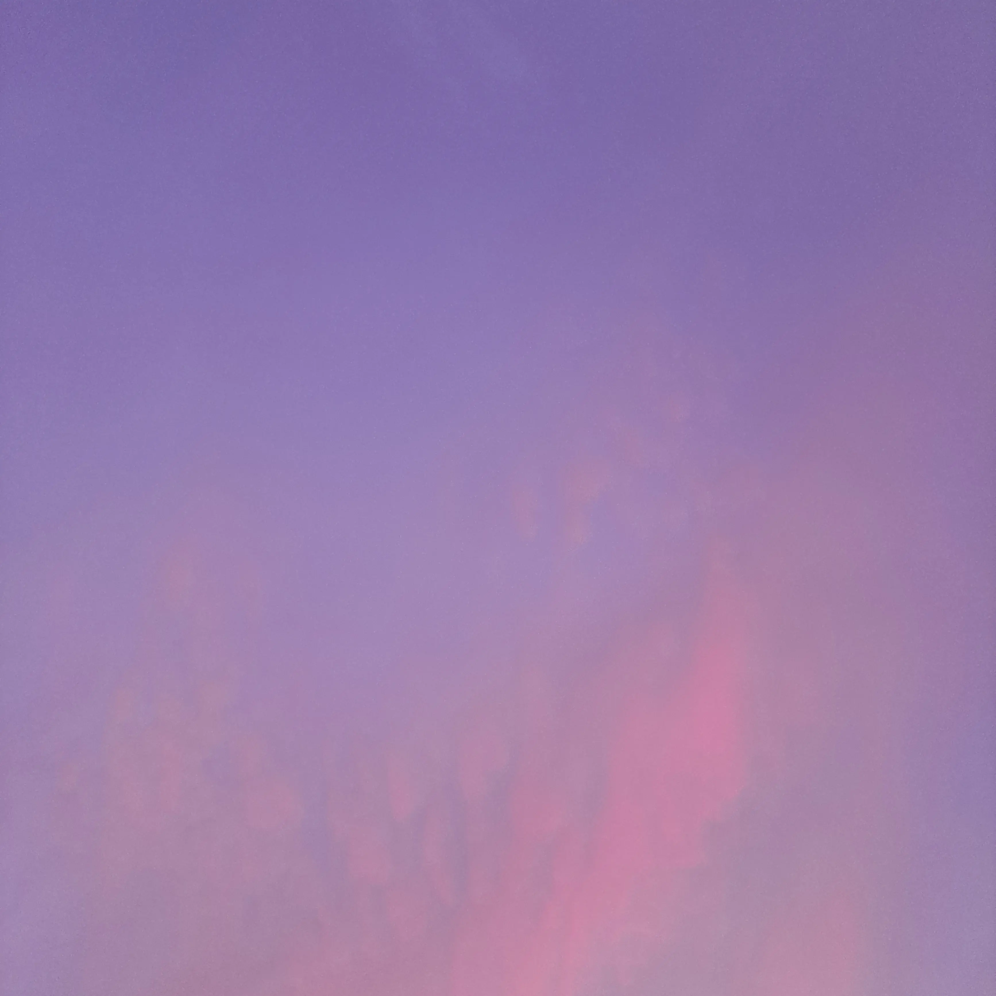 RoundMule1912의 그대가 원하는 세상