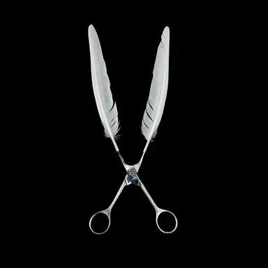 Profile image of 할리 소이어