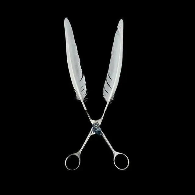 pEe2의 할리 소이어 박사