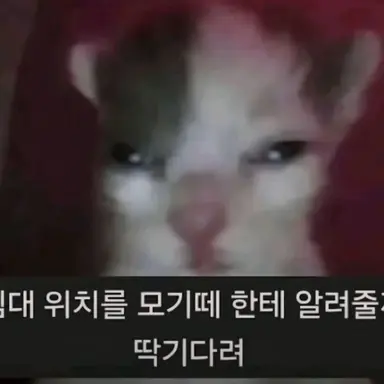 Profile image of 여우