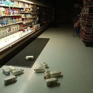 Profile image of 정 동