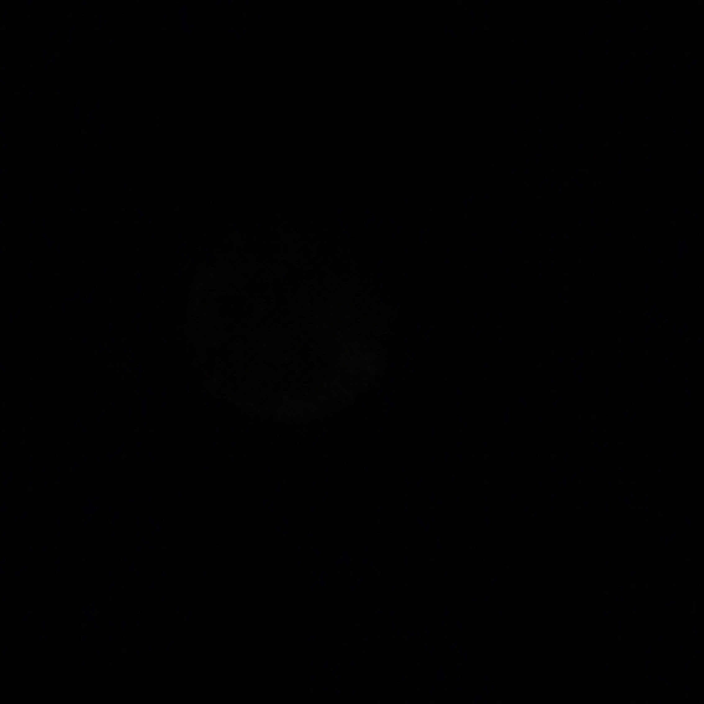 김-운-학