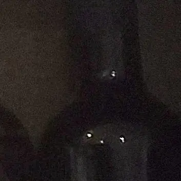 Songstorage의 박원빈